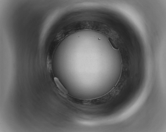 X0000111610766200907241009