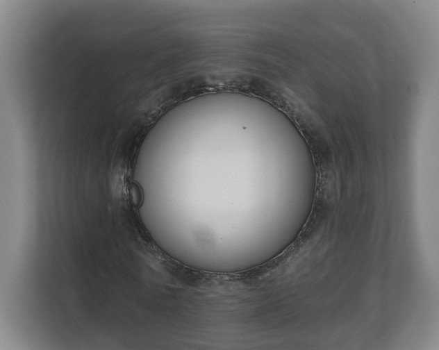 X0000111610770200907241009