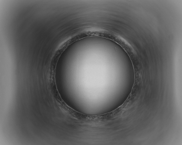 X0000111610775200907241009