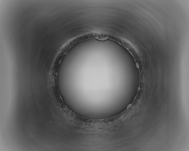 X0000111610776200907241009