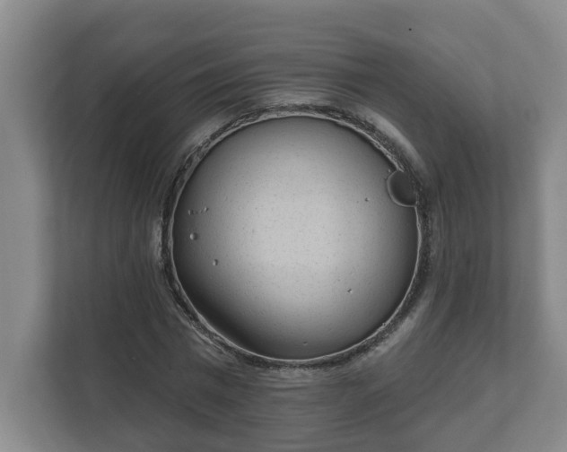 X0000111610777200907241009