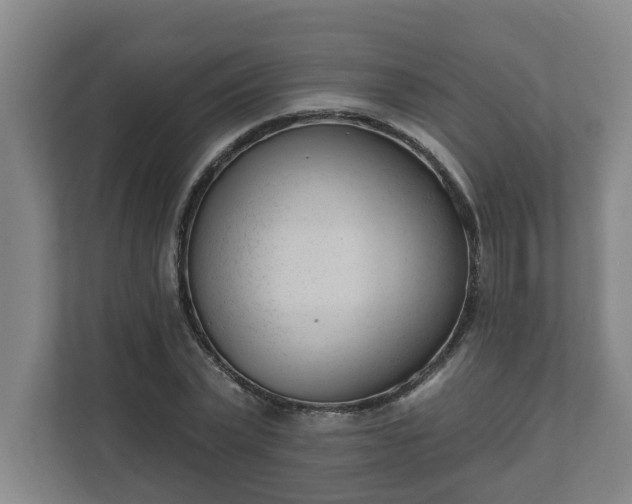 X0000111610783200907241009