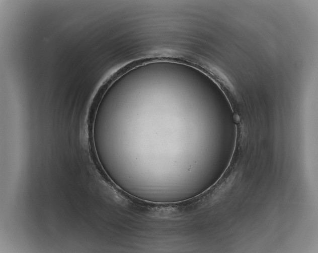 X0000111610784200907241009