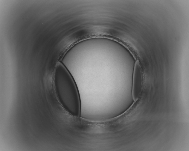 X0000111610785200907241009