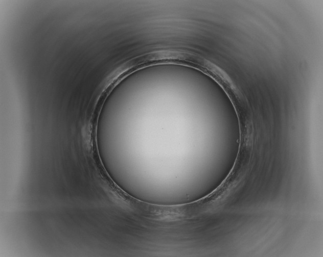 X0000111610786200907241009