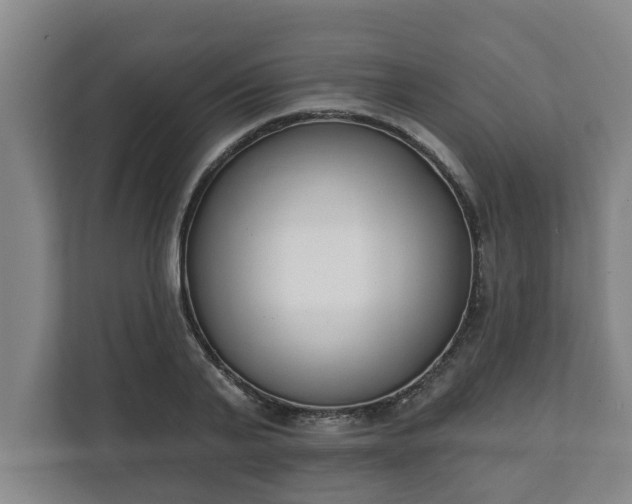 X0000111610791200907241008