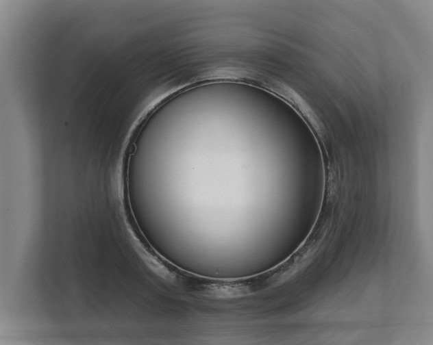 X0000111610795200907241008
