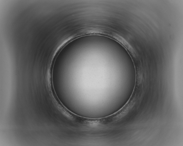 X0000111610798200907241008