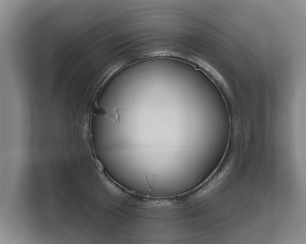X0000111610801200907241008