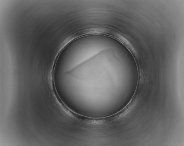 X0000111610802200907241008