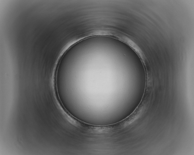 X0000111610803200907241008