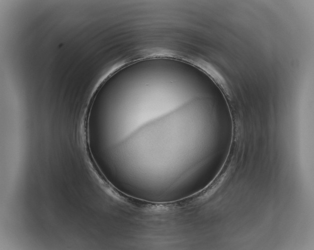 X0000111610806200907241008