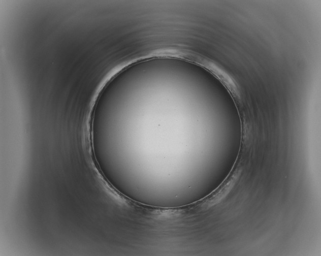 X0000111610808200907241008