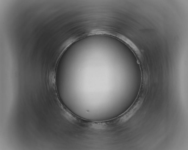 X0000111610809200907241008