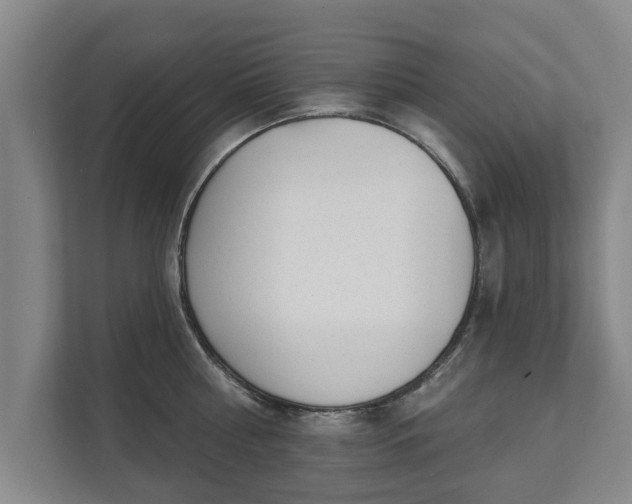 X0000111610810200907241008