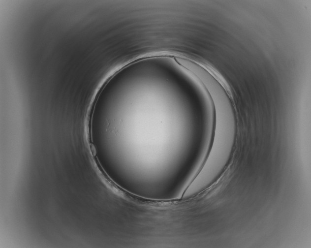 X0000111610813200907241008
