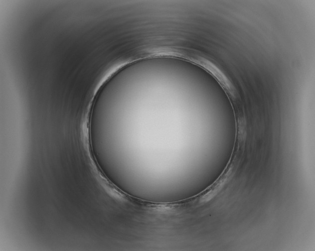 X0000111610814200907241008