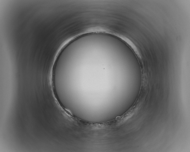 X0000111610815200907241008