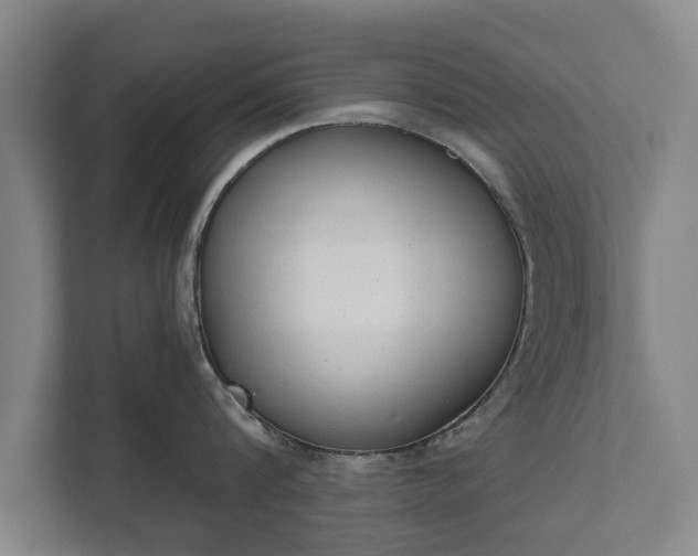 X0000111610816200907241008