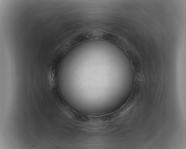 X0000111610818200907241008