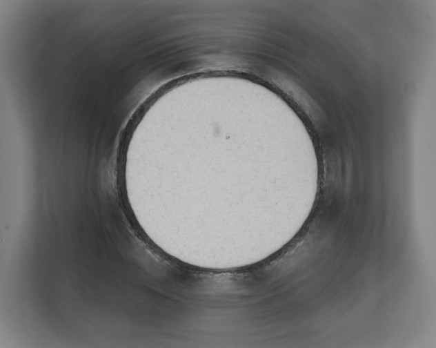 X0000111610828200907241008