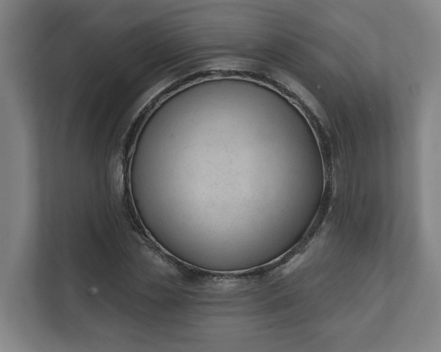 X0000111610829200907241008