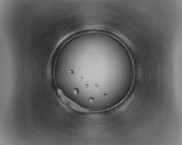 X0000111610830200907241008