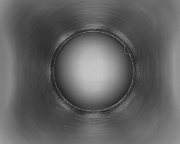 X0000111610834200907241008