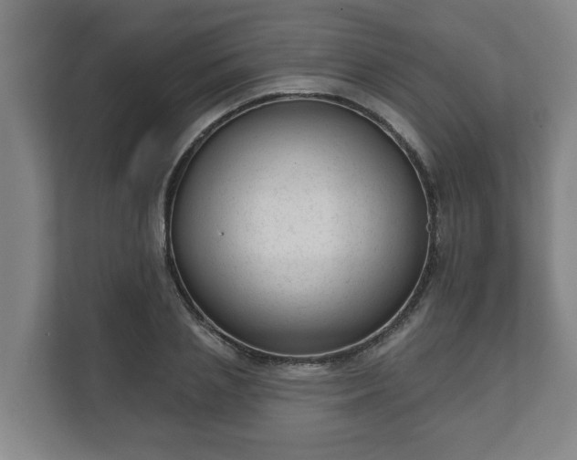 X0000111610837200907241008