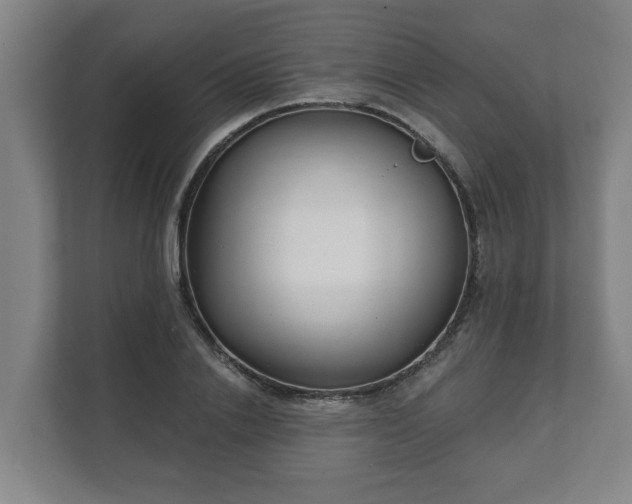 X0000111610838200907241008