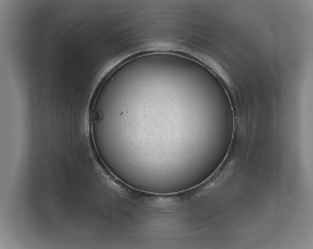 X0000111610839200907241008