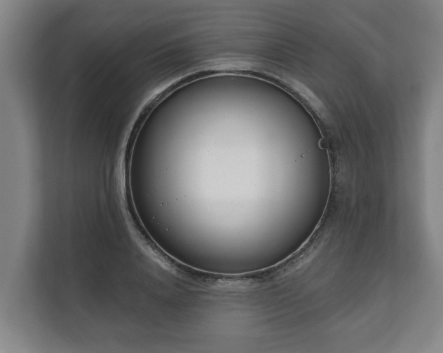 X0000111610840200907241008