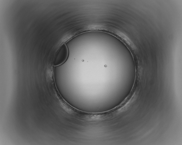 X0000111610841200907241008