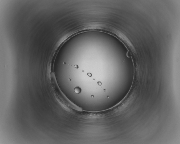 X0000111610842200907241008