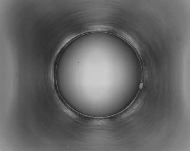 X0000111610843200907241008