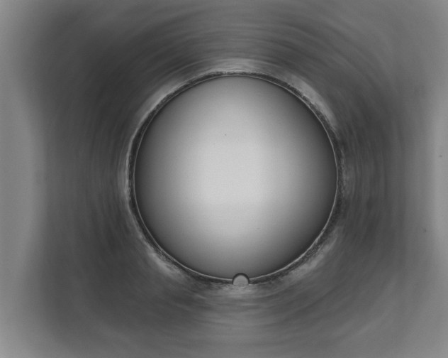 X0000111610845200907241008