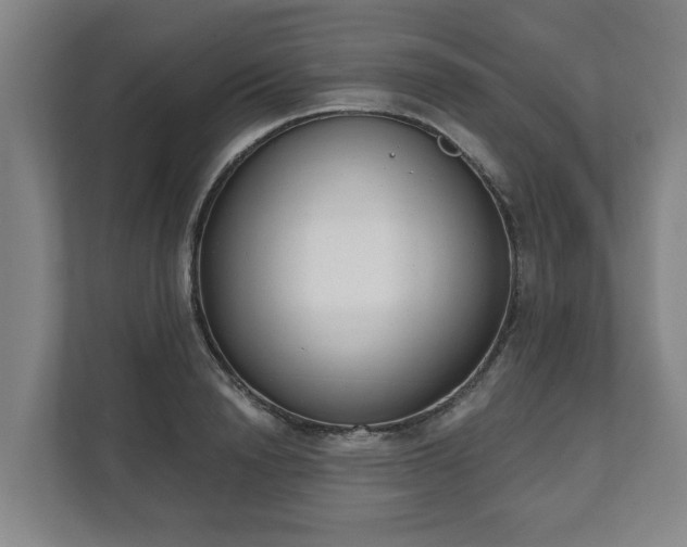 X0000111610846200907241008