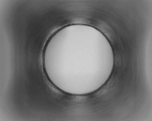 X0000111610848200907241008