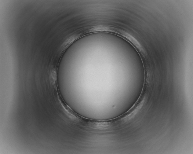 X0000111610849200907241008
