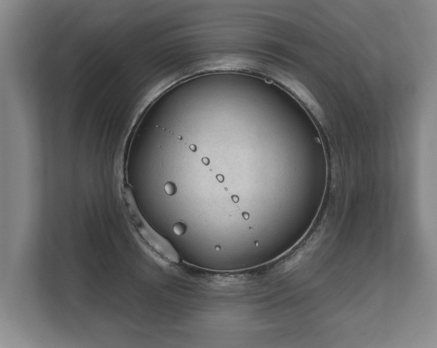X0000111610850200907241008