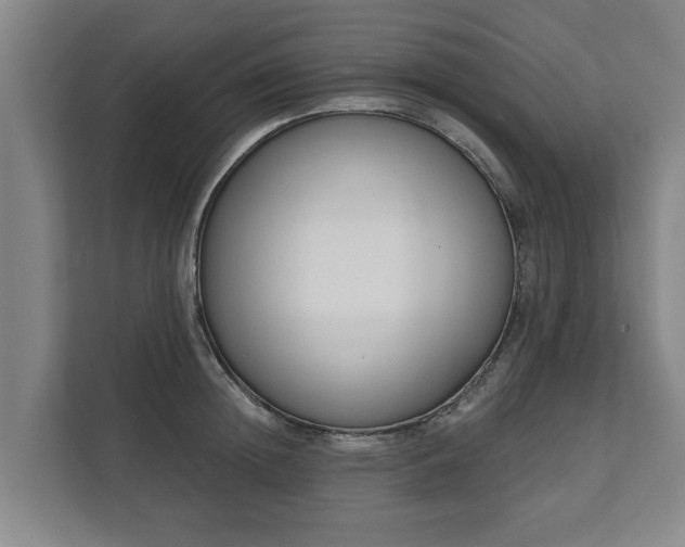 X0000111610852200907241008