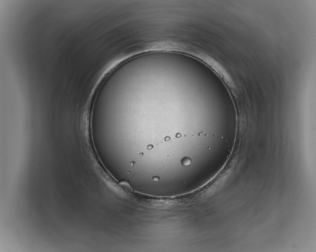X0000111610854200907241008