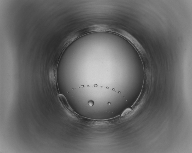 X0000111610857200907241008