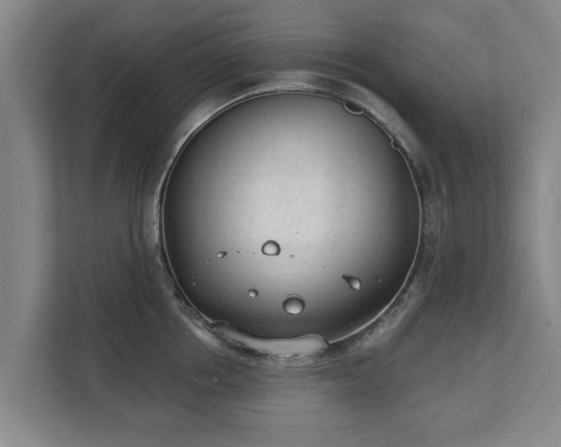 X0000111610858200907241008