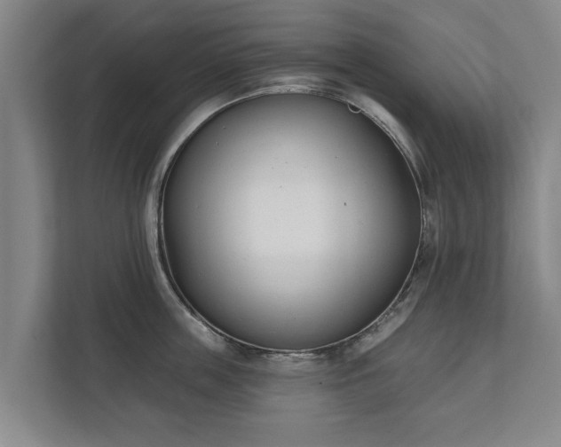 X0000111610859200907241008