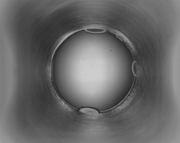 X0000111610860200907241008