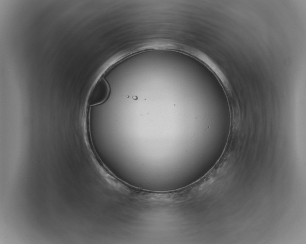 X0000111610861200907241008