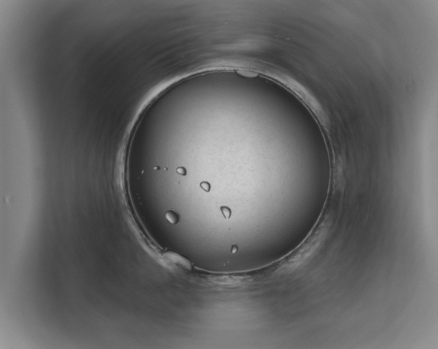 X0000111610862200907241008