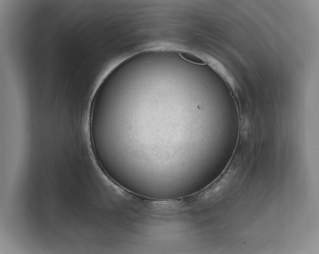 X0000111610863200907241008