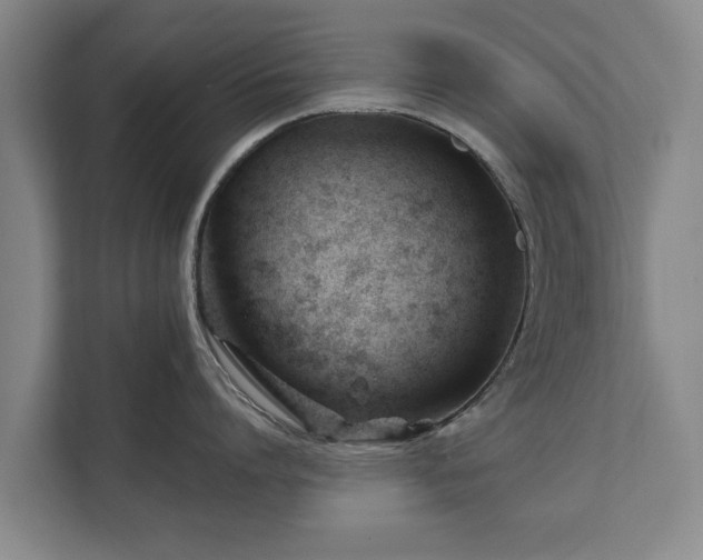 X0000111610864200907241008